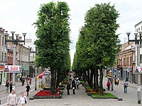 Kaunas Nauja 2