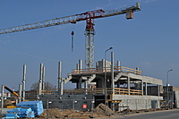 DSC 0471