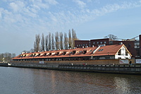 DSC 0429