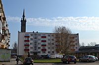 DSC 0445