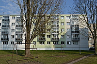 DSC 0449