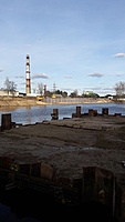 Grigiskes3