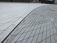 DSCF9138