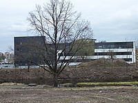 DSCF9254