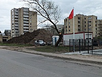 DSCF9183