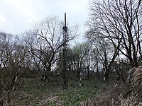 DSCF9443