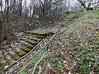 DSCF9429