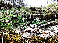 DSCF9436