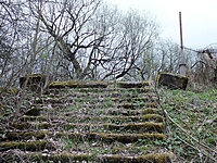 DSCF9441