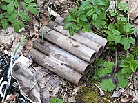 DSCF9439