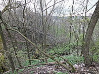 DSCF9450