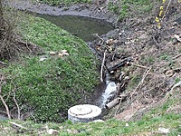 DSCF9206