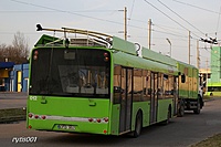 IMG 5027