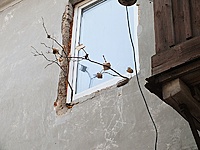 DSCF9620