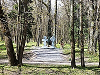 DSCF9566