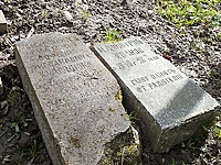 DSCF9585
