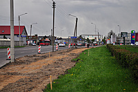 Veiveriu09