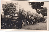 Kaunas.Atvirksciai