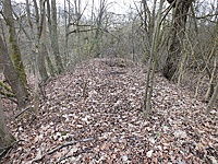 DSCF8170