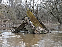 DSCF8147