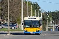 DSC 4964A