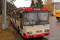 IMG 9285