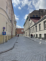 Sirvydo gatvė